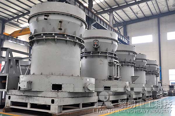 選購粉煤灰雷蒙磨粉機價格與什么有關